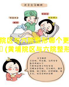 黄埔院区与六院整形哪个更实惠 🍀 (黄埔院区与六院整形哪个更实惠一点)